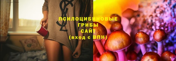 СК Остров