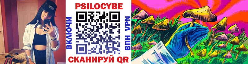 Псилоцибиновые грибы Psilocybe  Купить закладки  Рязань 
